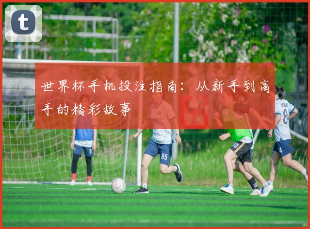 世界杯手机投注指南：从新手到高手的精彩故事