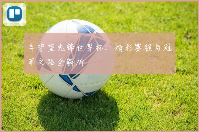年守望先锋世界杯：精彩赛程与冠军之路全解析