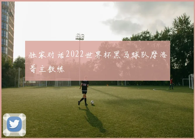 独家对话2022世界杯黑马球队摩洛哥主教练