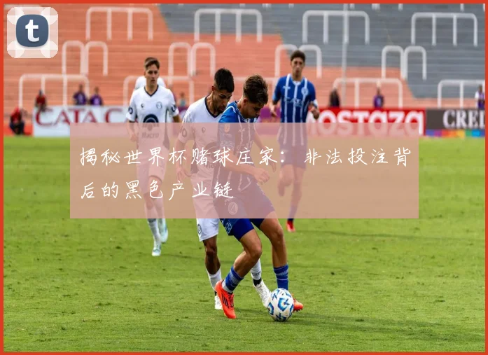 揭秘世界杯赌球庄家：非法投注背后的黑色产业链