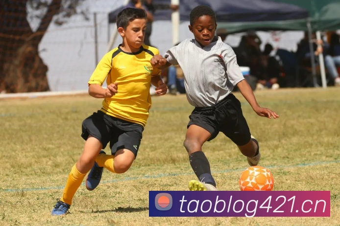 爱游戏官网-首页APP 封面图